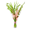 kytice gladiol